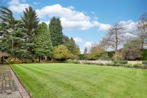 Photo 62- click for photo gallery